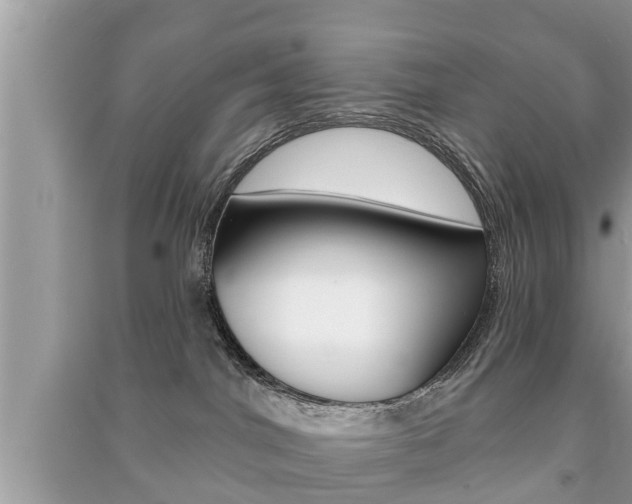 X0000091210044200708091125