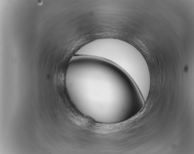 X0000091210045200708091125