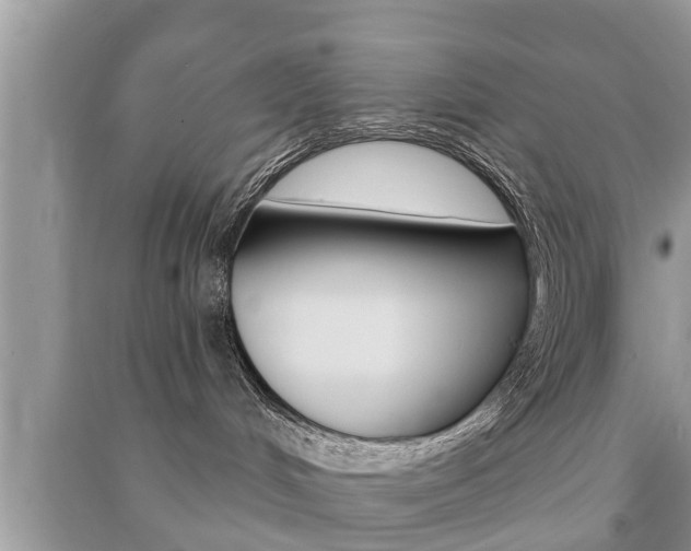 X0000091210048200708091125