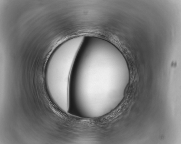 X0000091210050200708091124