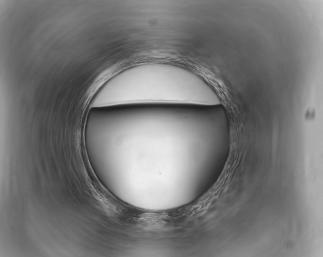 X0000091210051200708091124