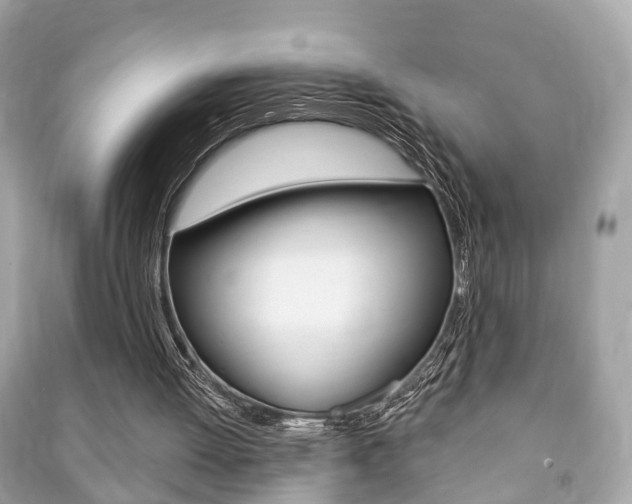 X0000091210052200708091124