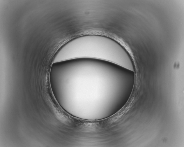 X0000091210057200708091124