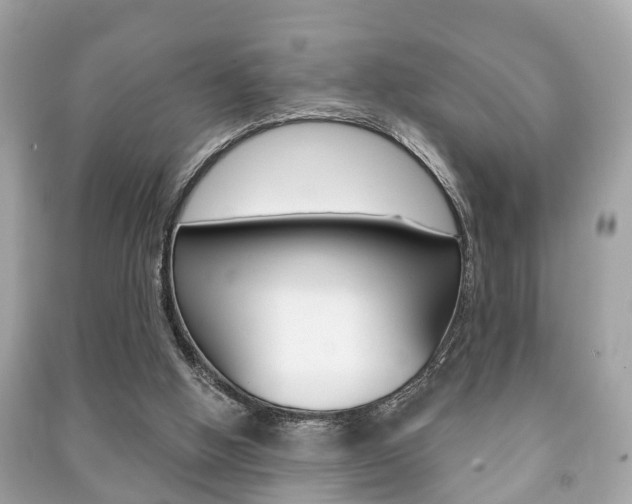 X0000091210058200708091124
