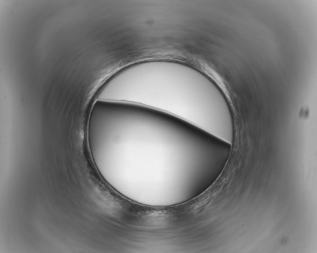 X0000091210059200708091124