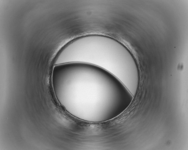 X0000091210060200708091124