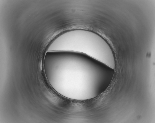 X0000091210062200708091124