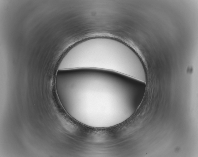 X0000091210063200708091124
