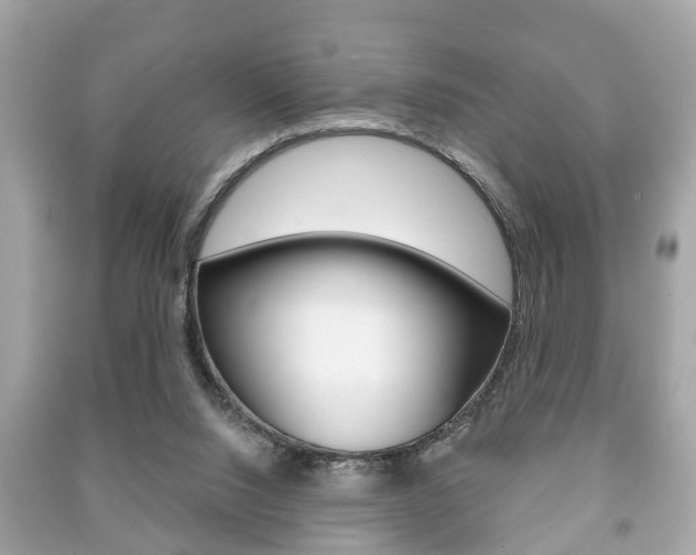 X0000091210064200708091124