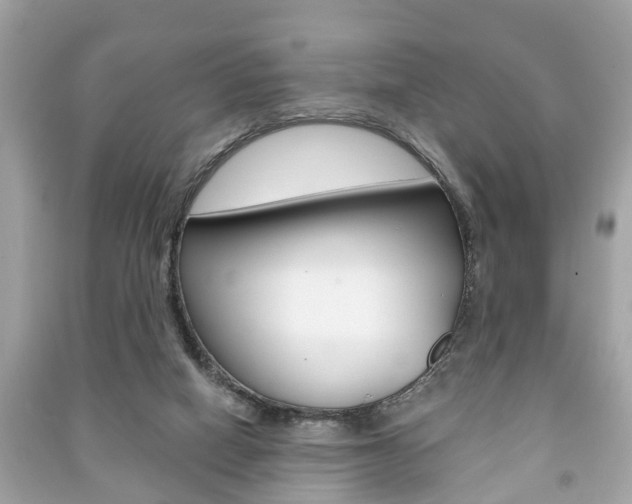 X0000091210066200708091125