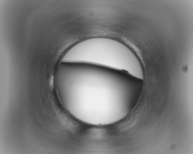 X0000091210067200708091125