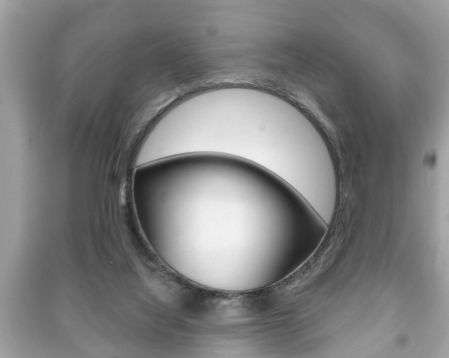 X0000091210068200708091125