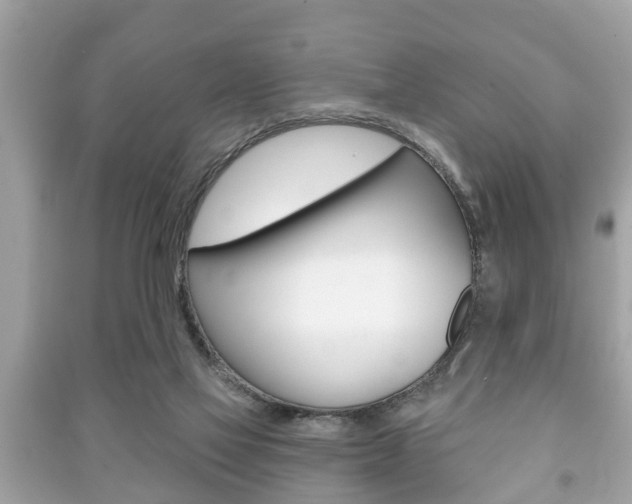 X0000091210069200708091125