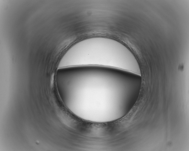 X0000091210070200708091125