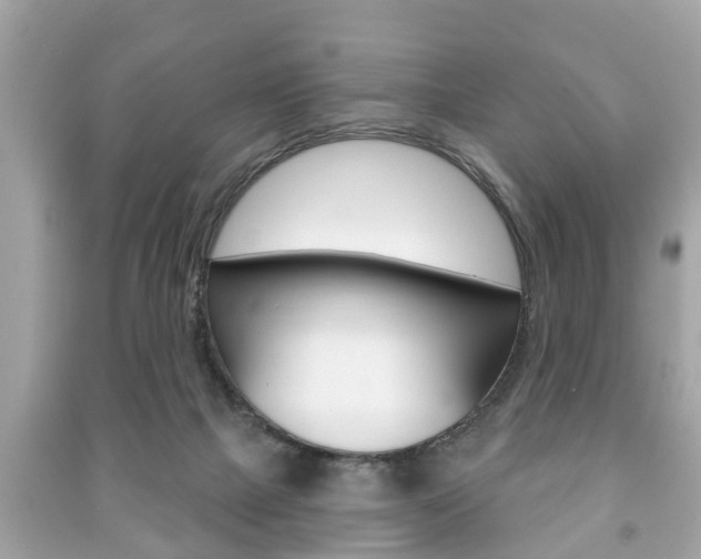 X0000091210073200708091125