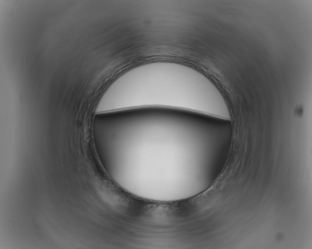 X0000091210074200708091125