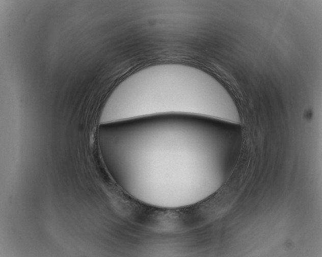 X0000091210075200708091125