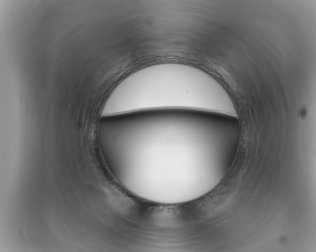 X0000091210077200708091125