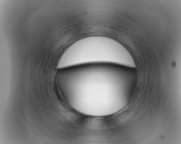 X0000091210078200708091125