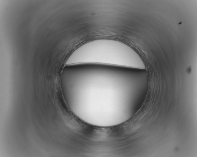 X0000091210079200708091125