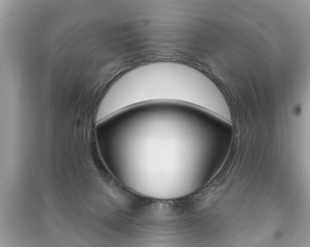 X0000091210080200708091125