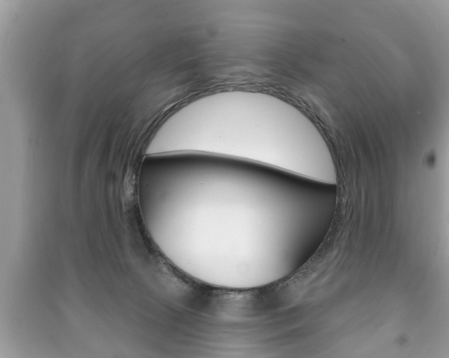 X0000091210081200708091125