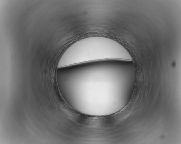 X0000091210082200708091125