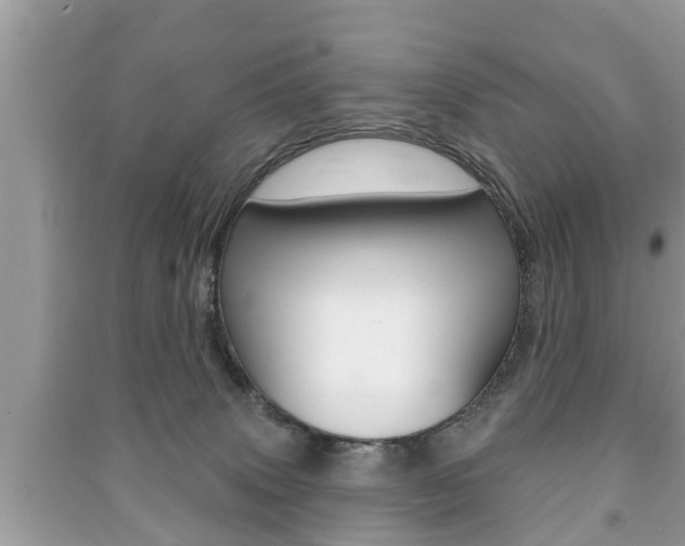 X0000091210083200708091125