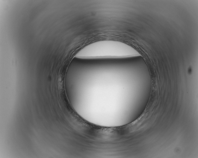 X0000091210086200708091125