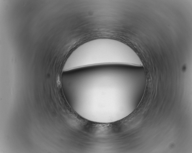 X0000091210089200708091125