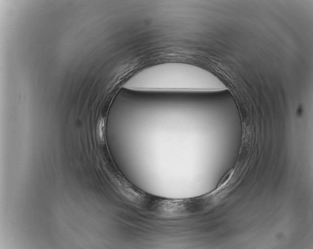 X0000091210094200708091125