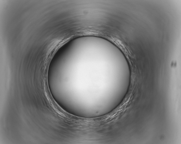 X0000091210097200708091124