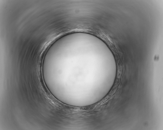 X0000091210098200708091124
