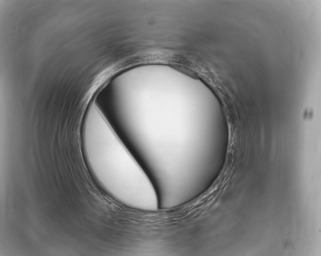 X0000091210099200708091124