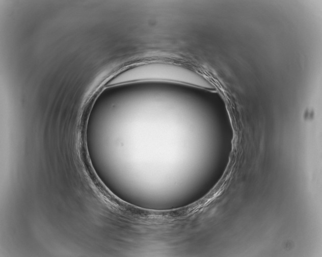 X0000091210101200708091124