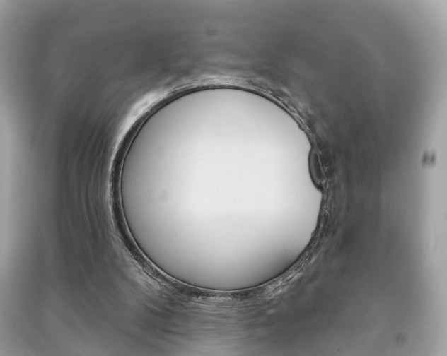 X0000091210104200708091124