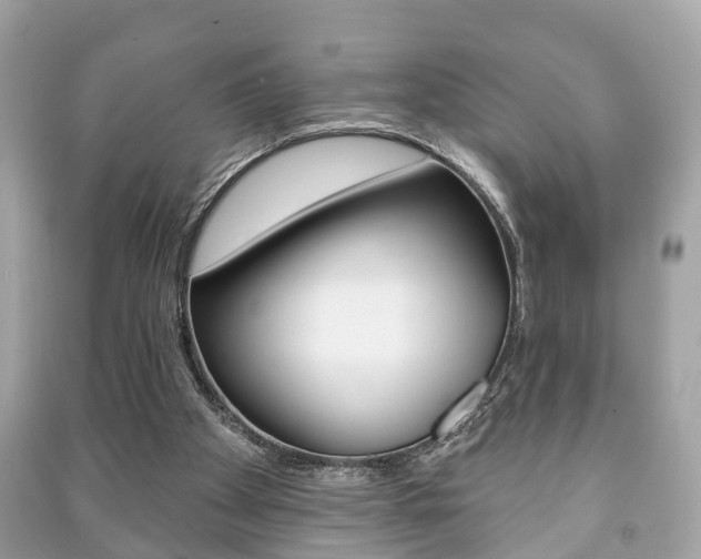 X0000091210105200708091124