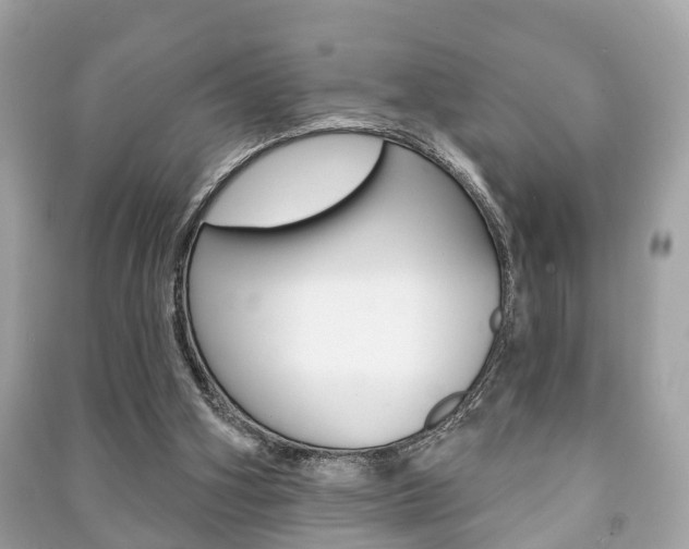 X0000091210106200708091124