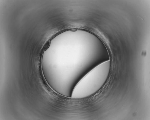 X0000091210107200708091124