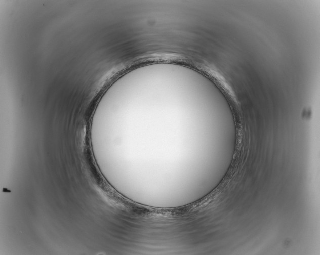 X0000091210110200708091124