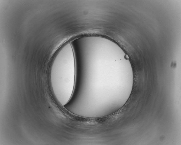 X0000091210112200708091124