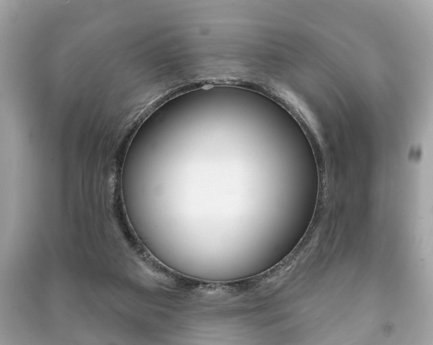 X0000091210113200708091124