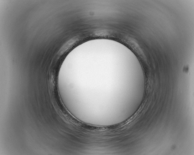 X0000091210116200708091124