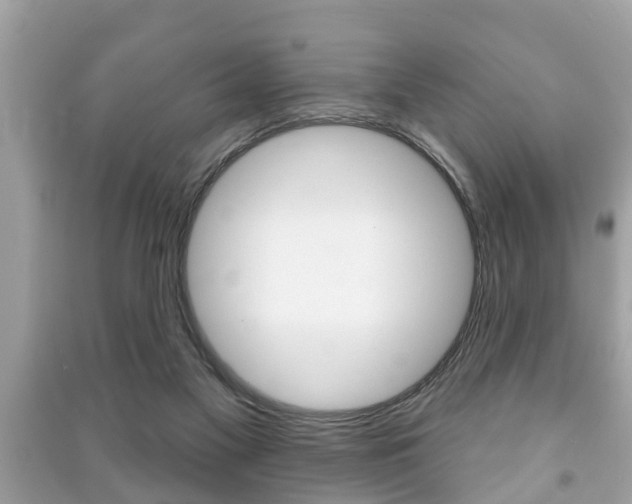 X0000091210117200708091124