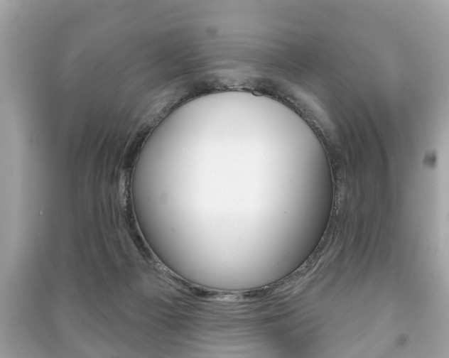 X0000091210121200708091124