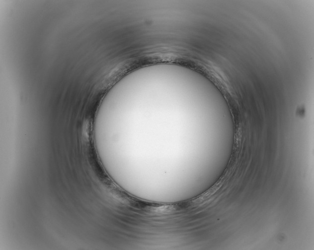 X0000091210122200708091124