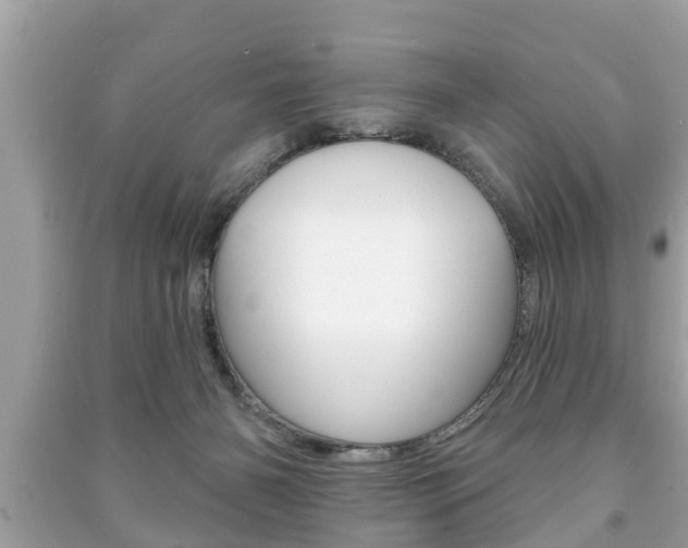 X0000091210126200708091124