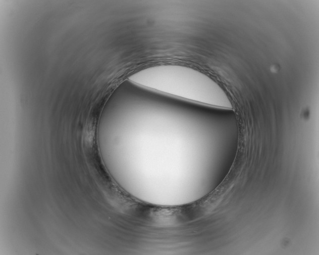 X0000091210129200708091124