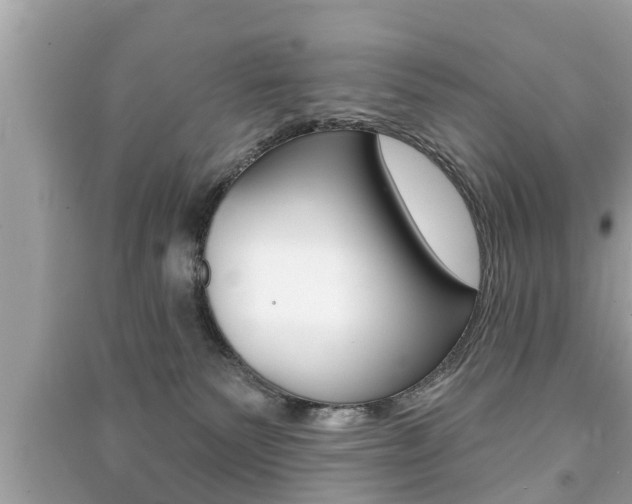 X0000091210135200708091124