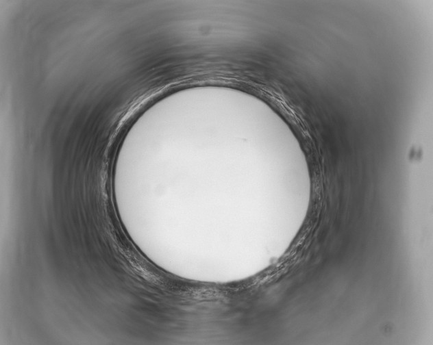 X0000091210146200708091123